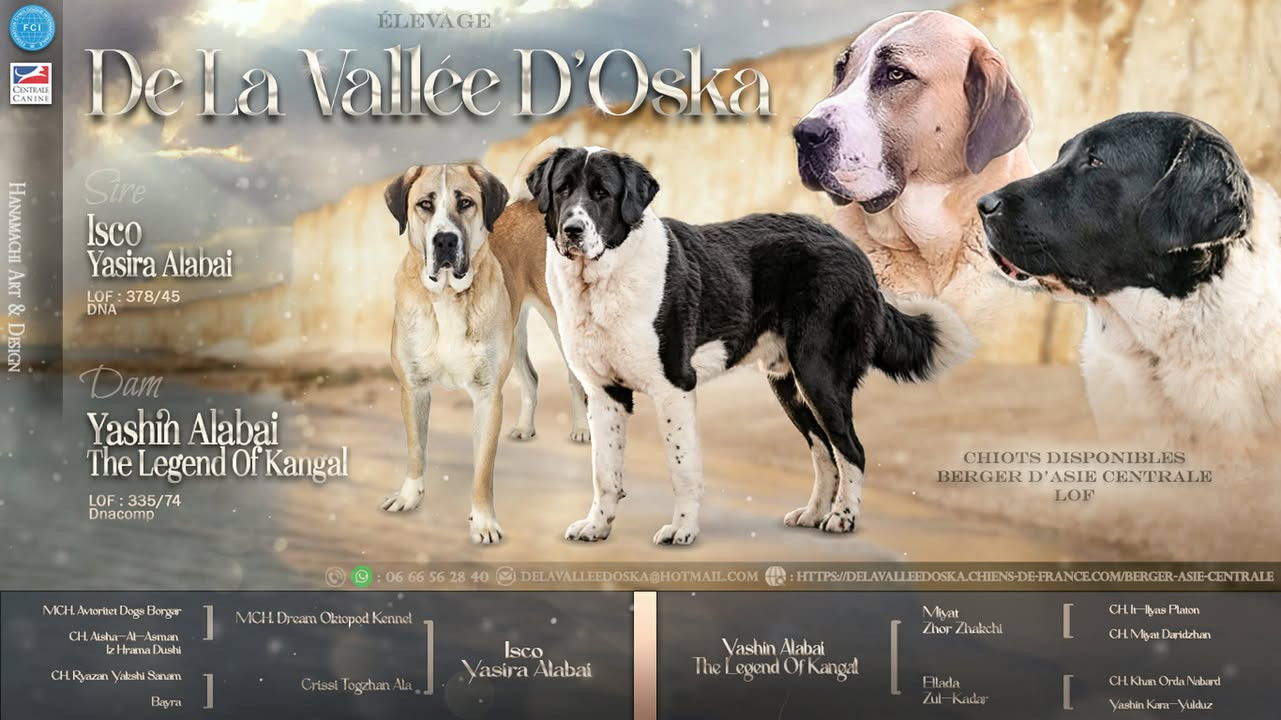 Premier mariage 2026 !